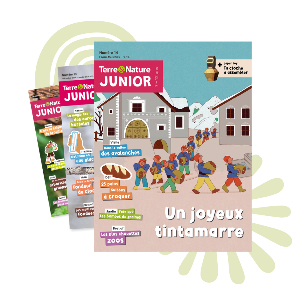 TNJ14 FR 3CoverIllustration